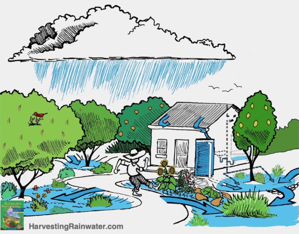 azwater's tweet photo. Water is too precious to only use once! Learn how to create abundance in your home by harvesting free rainwater @ https://t.co/liawXL2Wwt https://t.co/rG1UaD9kjW