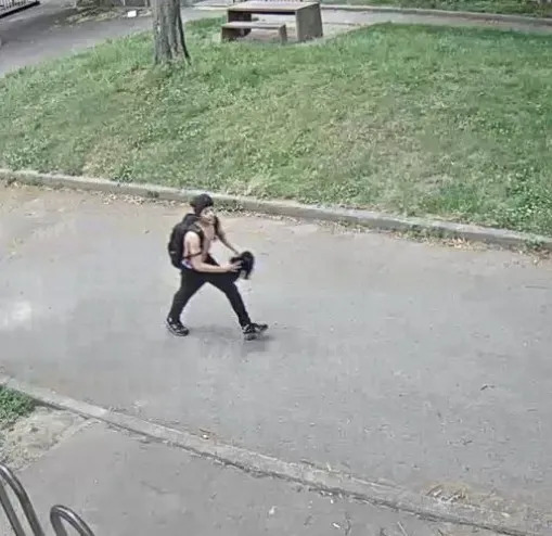 OnlyInBOS's tweet photo. Boston Police have released new photos of a second suspect wanted in the armed robbery of a children's lemonade stand in South Boston.

A 14-year-old has already been arrested.

Police are now asking for the public's help identifying the second suspect. https://t.co/xXdR3B6Ozx