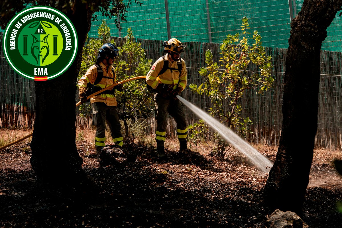 Plan_INFOCA's tweet photo. Nos vamos hoy con uno de los huéspedes del Centro de Cría del Lince ibérico "La Olivilla", dónde nuestros compañeros se han volcado durante el #IFSantaElena. 

Su presencia en nuestro emblema reafirma nuestro compromiso con la #Biodiversidad de #Andalucía.

#BuenasNoches 🌜 https://t.co/DwgsUOVwSE