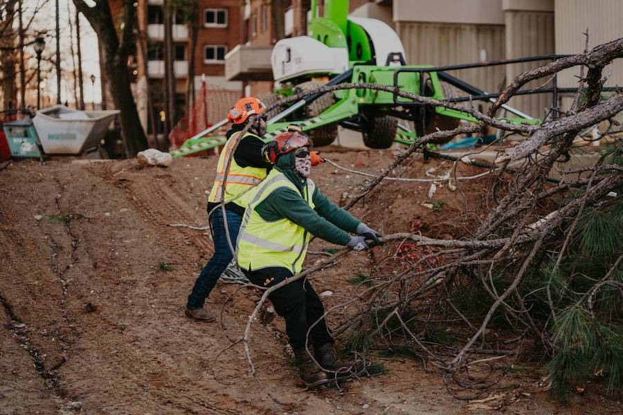 SesmasTree's tweet photo. Get Tree Removal Service in Woodstock, GA

Some trees outgrow their space, and others reach the end of their life. When that happens, removing them keeps your yard tidy and your home safe. At Sesmas Tree Service, we handle removals with the same care ...

https://t.co/WzOPsBqiFa https://t.co/9fDtkSWUzy