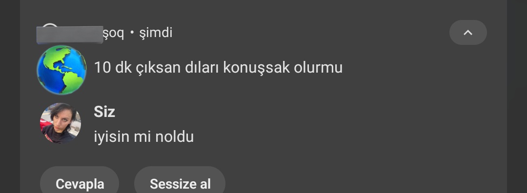 egoist piç tweet media
