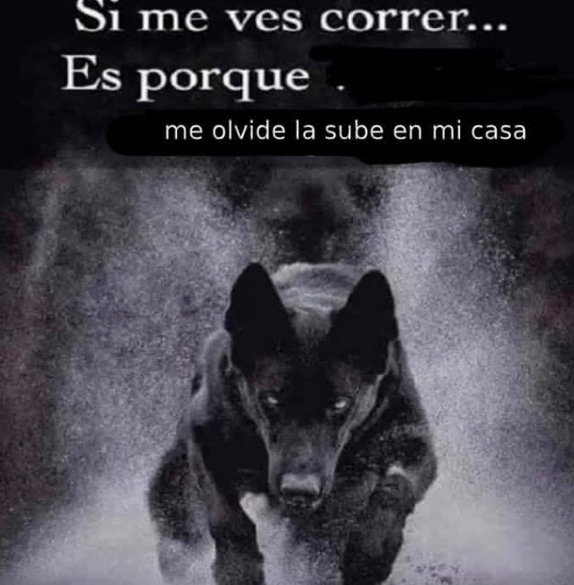 _RAMI44's tweet photo. https://t.co/tT6Jc7GdzT