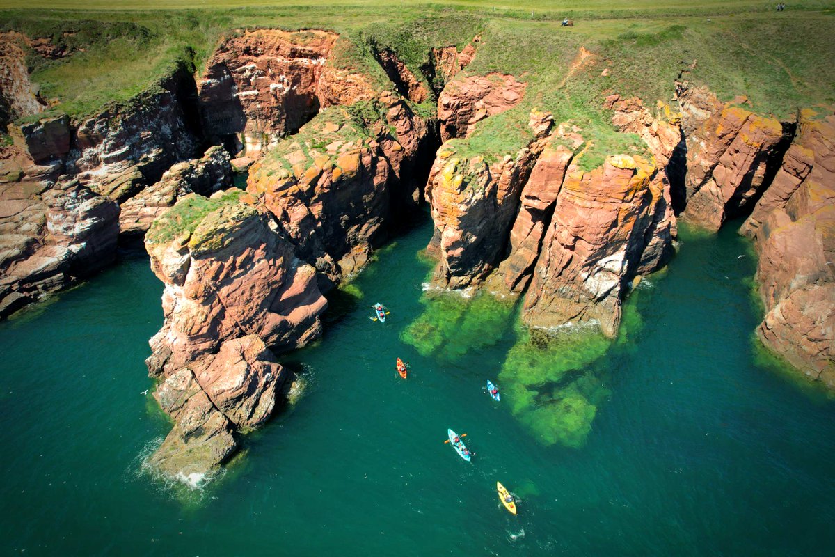 edinburghpaper's tweet photo. From glens to coast: discover the natural beauty and flavours of Angus
#AD #NaturallyAngus #VisitAngus #ScottishFood #NatureScotland
https://t.co/pPUftgkPdu https://t.co/zNreE5Ep9Y