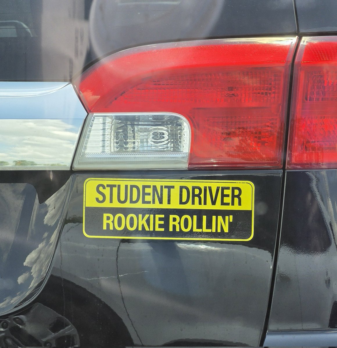 bryanhulbert's tweet photo. Instead of Rookie Flags or Stripes, I say we put this on the cars instead. https://t.co/SdfpWTmEz7