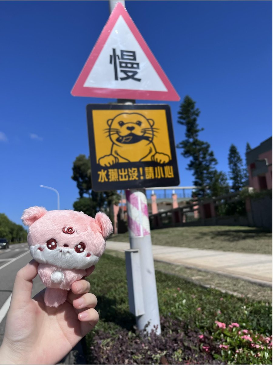 tya_ujb's tweet photo. 天気がとてもいいですね。一緒に外に出て日向ぼっこしましょうww https://t.co/GwSNhmODTB