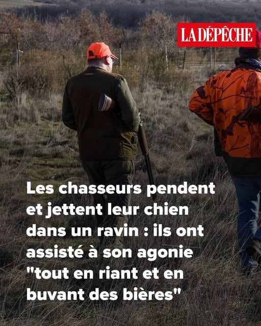 ChasseAbolition's tweet photo. https://t.co/gdQvYM0fVa https://t.co/2FNYl8GRAb