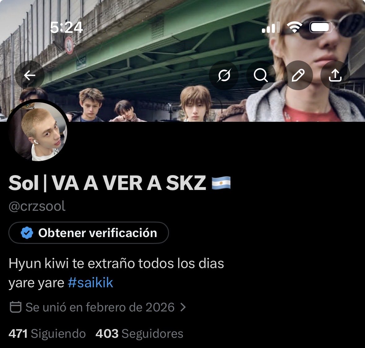 Sol | VA A VER A SKZ 🇦🇷 tweet media