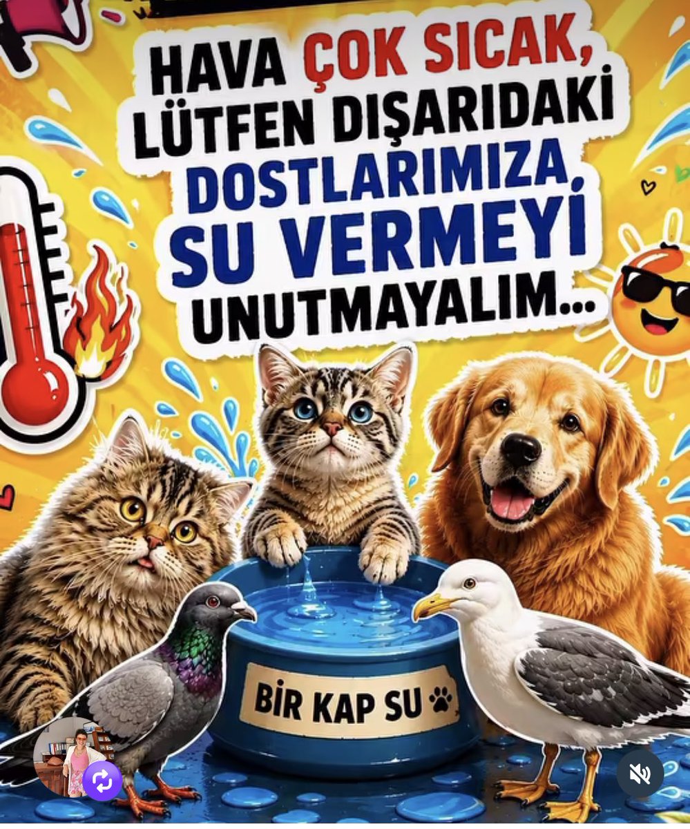 gbirkan2007's tweet photo. https://t.co/DnAnNQtTZ8