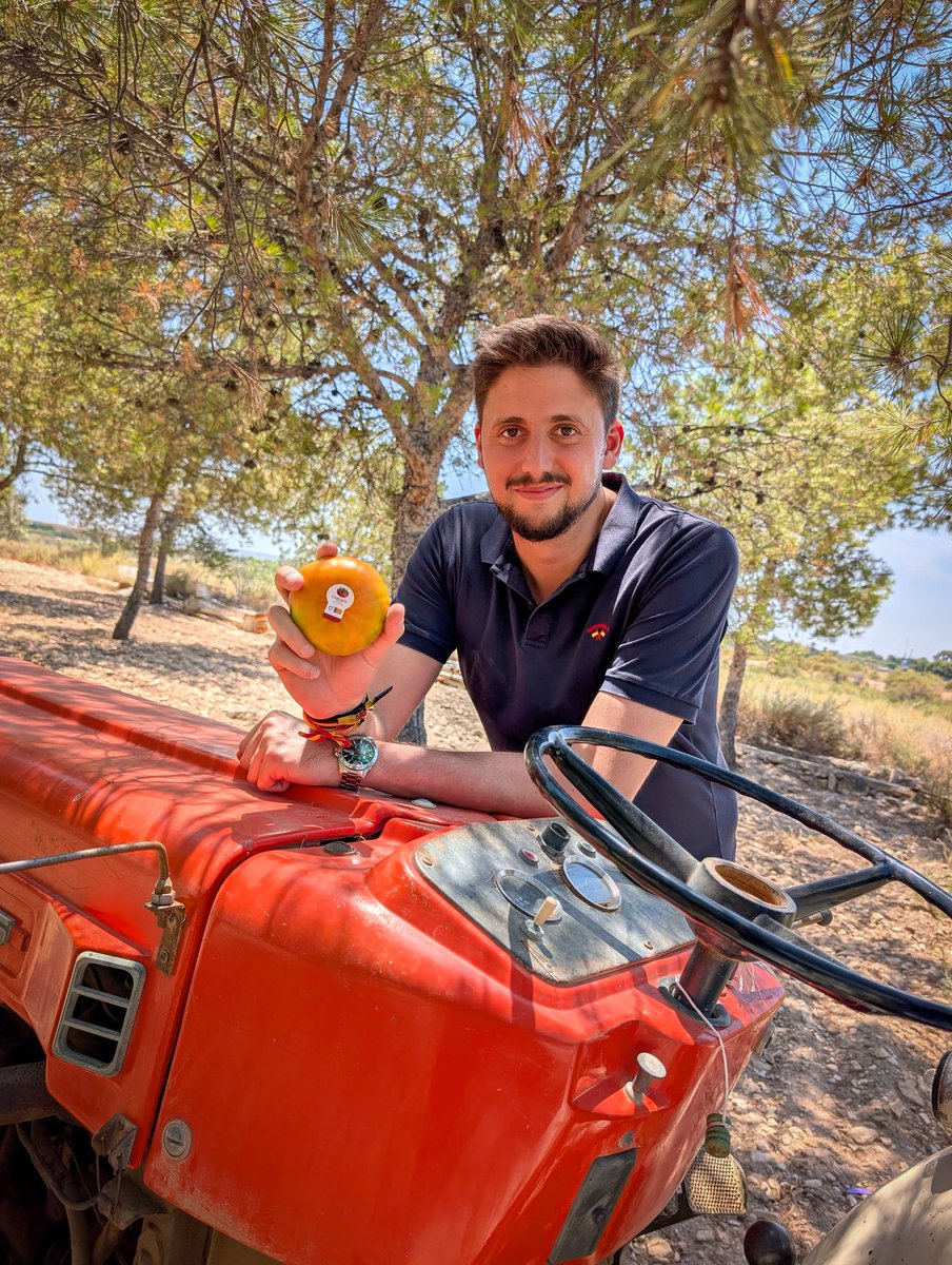 JoseMuoz1993's tweet photo. 🍅El tomate de Muchamiel es mucho más que un producto de nuestra tierra, es tradición, sabor y el trabajo de generaciones de agricultores que han sabido conservar una variedad única. Su calidad y su inconfundible sabor lo convierten en un auténtico referente de nuestra localidad 
🚜Este finde de semana  tienes una oportunidad perfecta para descubrirlo y disfrutarlo en la Feria del Tomate de Muchamiel. 
✅Ven a conocer a los productores, degustar este tesoro de la huerta.
