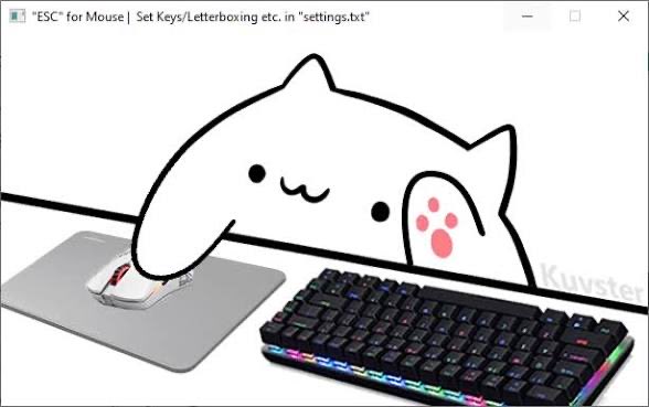 frz_crypto's tweet photo. Bongo Cat memes shall dominate https://t.co/wSW5gKyIGi