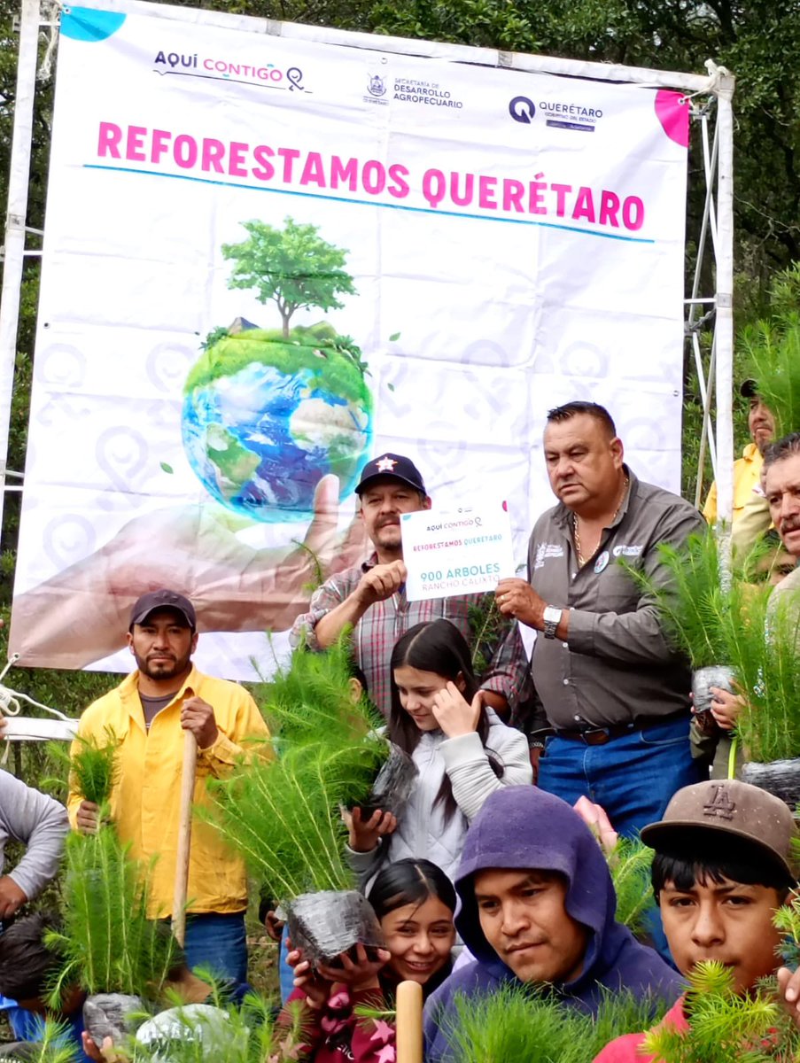 SedeaQro's tweet photo. ¡Sumando esfuerzos por el medio ambiente! 🌳 Junto a alumnos y papás de la Primaria Justo Sierra, trabajadores locales y el Sr. Clemente Obregón, plantamos 900 pinos de la región en Rancho Calixto, Amealco de Bonfil.
¡Con cercanía, trabajamos #AquíContigo! 🌱🌲 https://t.co/SHI6BTWgTq