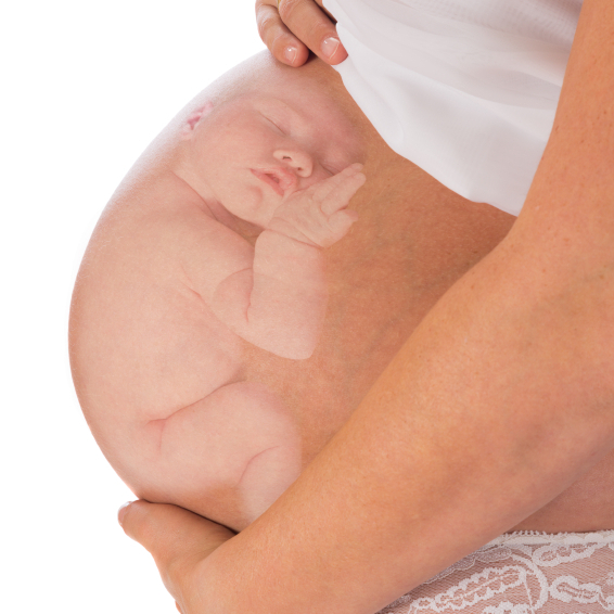 familiaysalud's tweet photo. Efectividad de vacunar a gestantes contra la tosferina
Estudio de bebés <1 año hospitalizados por tosferina.
Conclusión: La vacunación en último trimestre del gestación protege al neonato, disminuye hospitalizaciones y reduce días de ingreso en <2 meses
https://t.co/j1aDinlP4F https://t.co/TU3KidrQWx