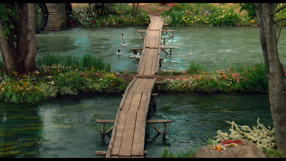 framebyguido tweet picture