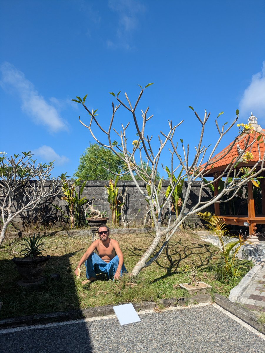 kevin_winda's tweet photo. 🌿🍌 Grounding Ritual in Uluwatu, Preparing for Wakatobi 🌊

Today's shopping:
- Bananas
- Starlink

Morning presence in our current Bali base — barefoot on the earth, fresh local banana for natural vitality, surrounded by sacred frangipani and temple energy. 

This simple daily practice fuels the vision we’re manifesting: the Narayan Privacy First Wellness.

What’s one ritual that keeps you grounded wherever you are? Share below 👇

#Starlink #Uluwatu #Wakatobi #Bali #Wellness #Grounding