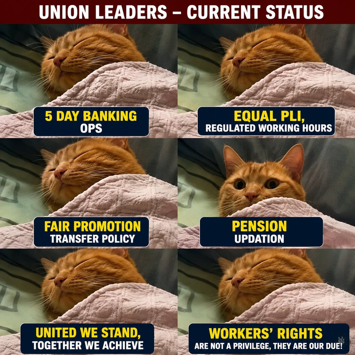 bankaffairs's tweet photo. For any real change in the lives of bankers, a complete overhaul of union leadership is essential.

The working group must take charge of top leadership positions. The chamcha culture in AIBOC must end.

Above all, UFBU should be led by the Working Group , not by those comfortably sleeping on our issues.