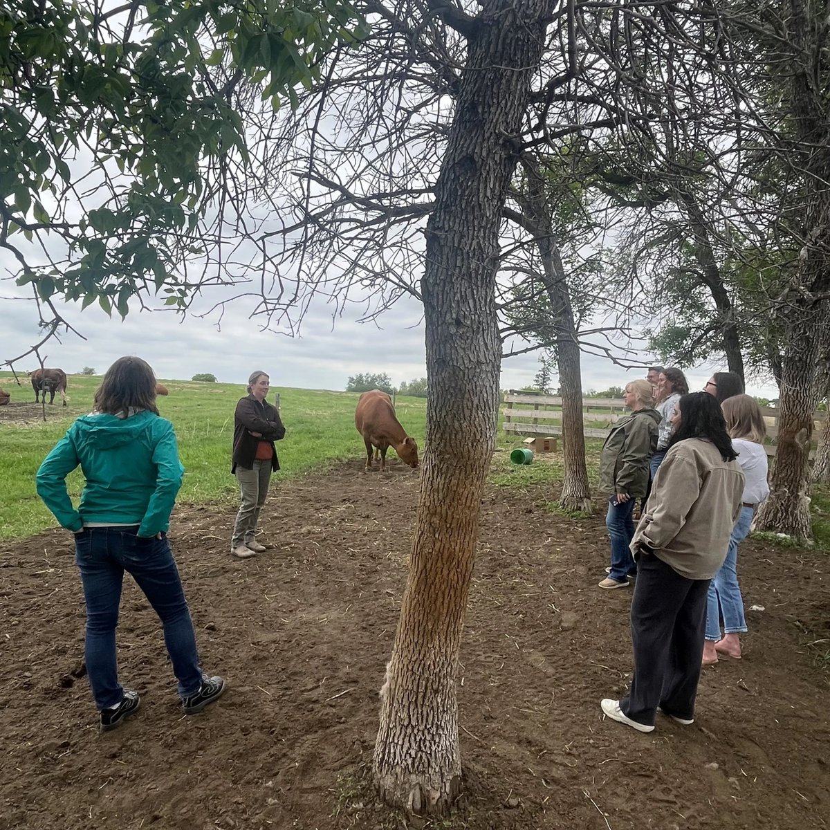 domoreag's tweet photo. Last month, The Do More Agriculture Foundation's board and staff came together in Saskatoon for an in-person board meeting and retreat —a valuable opportunity to reconnect, reflect, and look ahead together.

As a farmer-founded organization, taking time to align on our vision and priorities helps ensure we're continuing to meet the evolving needs of farmers, farm families, agricultural workers, and rural communities across Canada.

The retreat also marked an important leadership transition. We extend our sincere thanks to outgoing Chair Sartaj Sarkaria for her dedicated leadership and welcome Emma Cross as the Foundation's new Board Chair. Emma, a Hereford cattle rancher from Tofield, Alberta, brings firsthand agricultural experience and strong leadership that will help guide the Foundation into its next chapter.

We were also grateful to recognize and thank founding board members Lesley Kelly and Himanshu Singh for their years of vision, leadership, and commitment to building the Foundation from the ground up.

At the same time, we were excited to welcome three new directors:
🌾 John Kowalchuk, Central Alberta grain farmer and rural community advocate
🐄 Richard Horne, Executive Director of Beef Farmers of Ontario
💚 Jessica Stiles, Ontario-based psychotherapist with expertise in both agriculture and mental health

Together, their diverse perspectives and experience will help strengthen our work and our impact.

A highlight of the retreat was a strategic visioning session facilitated by Patti Durand of BrightTrack Consulting, helping us continue shaping the future of the Foundation with purpose and clarity.

We also had the opportunity to visit two incredible local operations—Farm One Forty and Black Fox Farm & Distillery—where innovation, sustainability, and community are woven into every part of their work.

Thank you to everyone who helped make the retreat such a meaningful few days. We left Saskatoon energized, aligned, and excited for what's ahead.