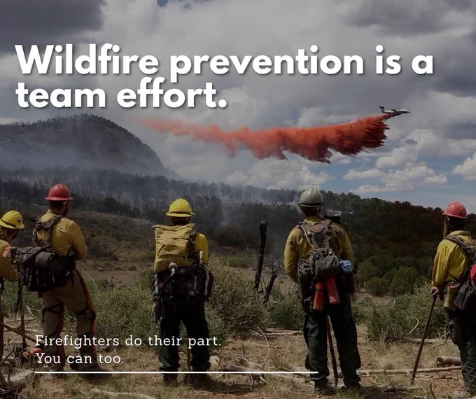 Firefighters watch a plane drop fire retardant over a forested mountain to prevent wildfire spread.