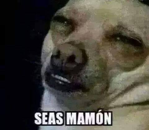 MARTE RAMOS tweet media