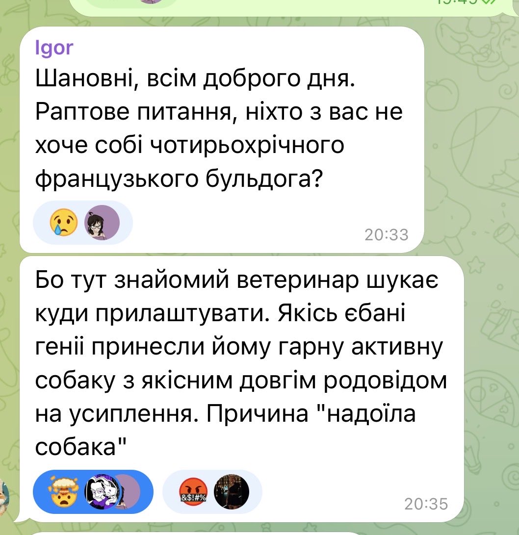 vpapidokha's tweet photo. Люди кончені, але раптом ви завжди мріяли про собаку і готові забрати у сімʼю https://t.co/ADaMoC4WRv