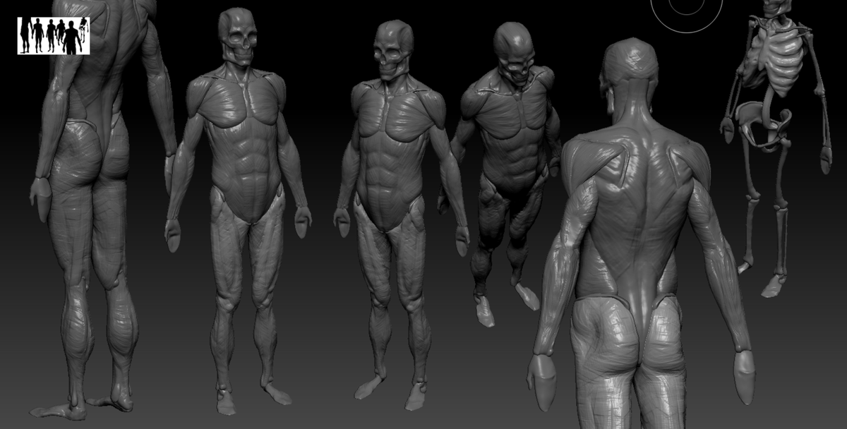 Vlangusy's tweet photo. derusting #zbrush #sculpting #anatomy https://t.co/mYe2QJj7um