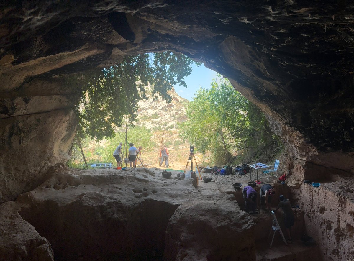 MarianoVLopez's tweet photo. Segundo día en la Cueva Negra de #Caravaca. Superada la limpieza inicial, el equipo ya está concentrado en sus respectivos cuadros. Paletín, material fino y brochas en mano para avanzar con  precisión milimétrica en el sedimento del Pleistoceno. ¡Esto ya no para! ⛏️ https://t.co/HHZL0mklld