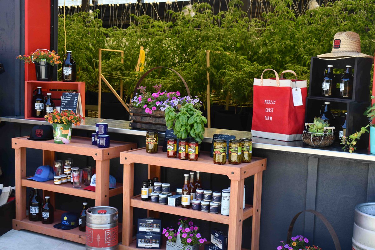BREWPUBLIC's tweet photo. Public Coast Farm announces its 2026 Summer Season that kicks off next week! Details in the link below.

https://t.co/Q4bDMKMTfZ

@PublicCoastBrew https://t.co/eo4FrihHR3