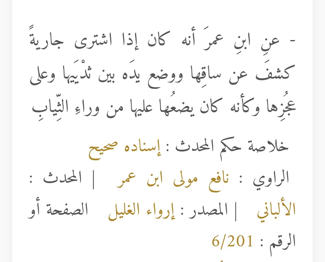 shahd_onX tweet media