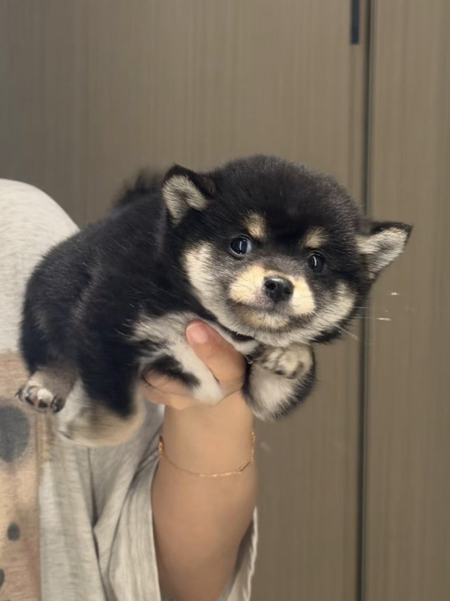 twaniimals's tweet photo. https://t.co/45rK1Wk13P