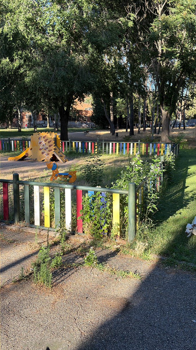AlvaroBallano's tweet photo. @AnaGuarinos por favor arreglen limpien o algo con el parque de el kokin por favor https://t.co/gV2gZcFjhU