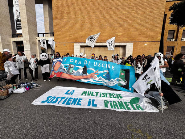 WWF_Roma's tweet photo. Ancora fermo piano sociale per #clima:a un anno dalla scadenza,ritardi inaccettabili e assenza di trasparenza e partecipazione su un piano da 9.3 miliardi. Un anno da quando l'#Italia avrebbe dovuto trasmettere a Bruxelles la versione definitiva del Piano https://t.co/5NduXOhkXe https://t.co/aKZNsV8EYy