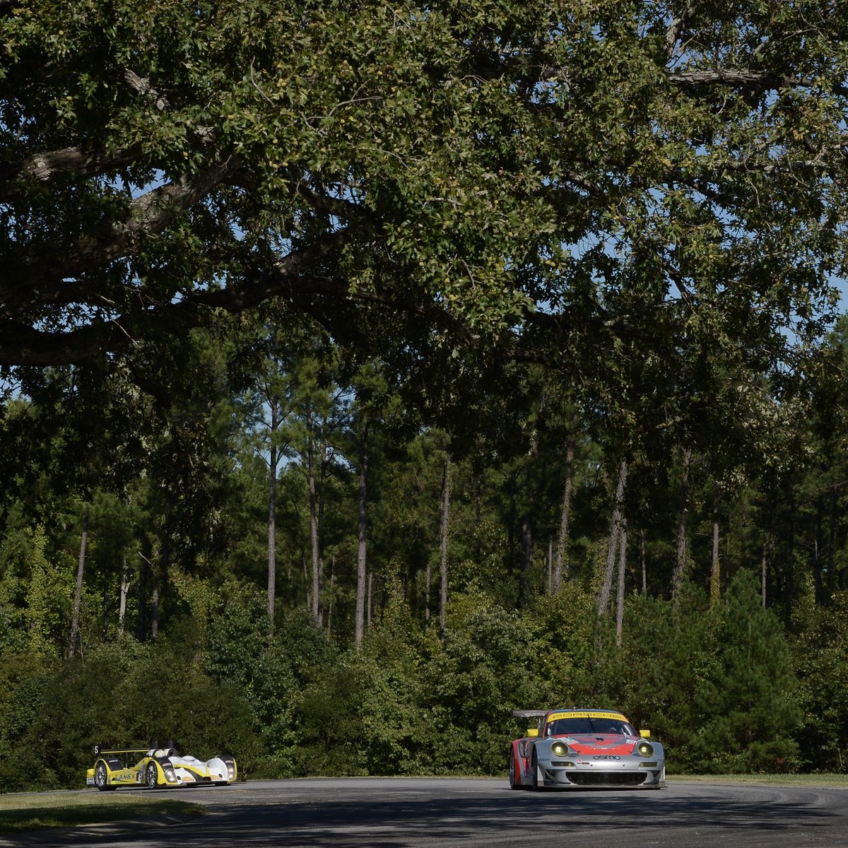 VIRNow's tweet photo. On this day, we remember the legendary Oak Tree that became one of the most recognizable landmarks in motorsports and a symbol of VIR for generations of racers and fans.

While the original tree may no longer stand, the memories made beneath its branches and the stories created through Oak Tree Turn continue to be part of what makes VIR special.