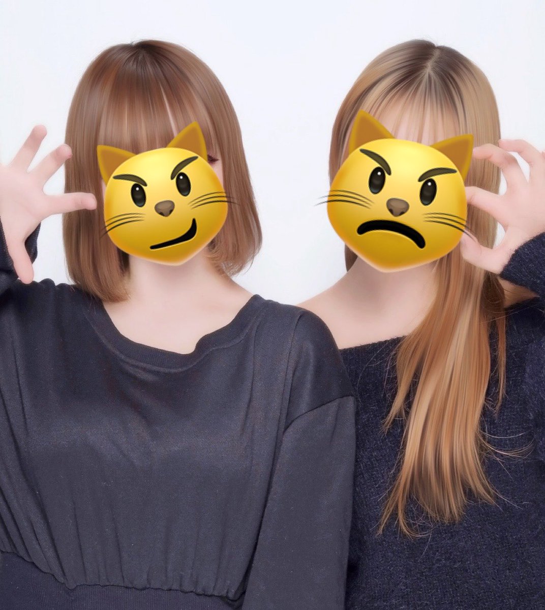 歌姫 tweet media