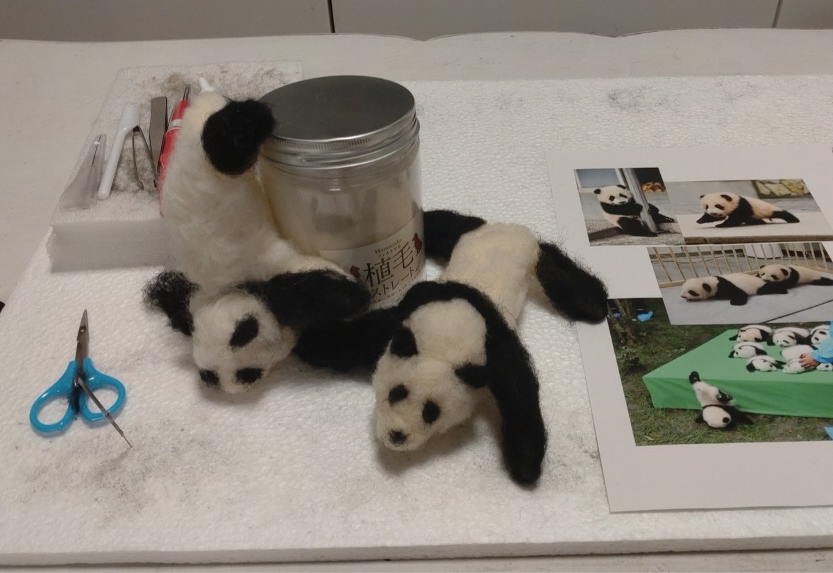 hoshimasuo's tweet photo. #7月になったのでフォロワーさんに自己紹介しようぜ

特定の動物に特化しない、野生動物から愛玩動物まで、#羊毛フェルト でリアルに再現出来る動物造形作家を目指しています🫡

弱点　詰めが甘い🍭営業力皆無📉集中力皆無🥱メンタル脆弱🛌

強み　流行りに流されない🏊 https://t.co/Hf7EVmlSQT