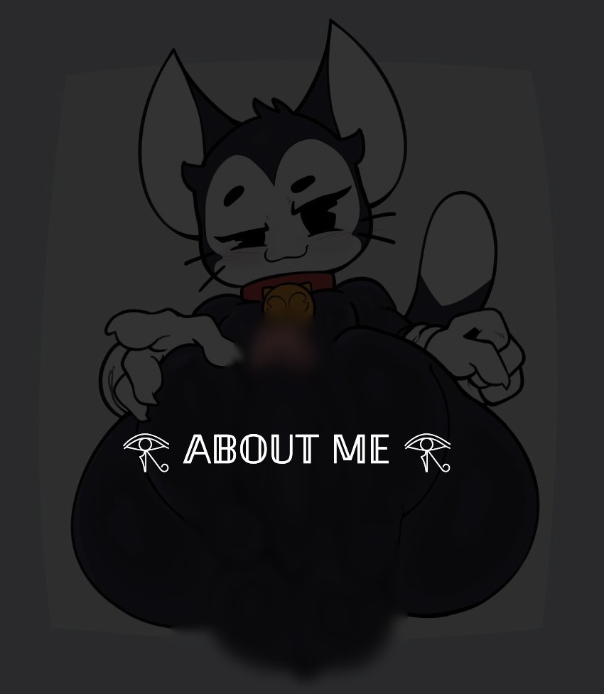 Gato Pijudo tweet media