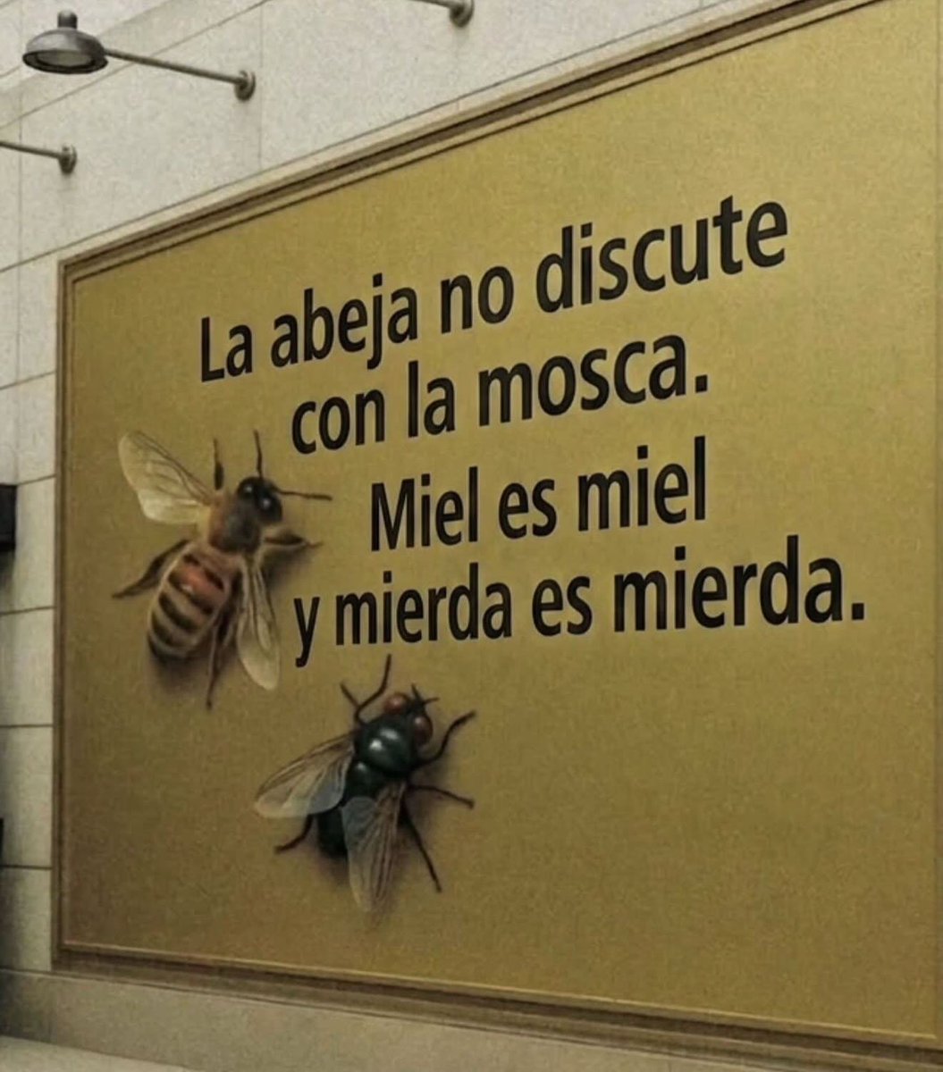 MsCiencia2's tweet photo. 🥸 https://t.co/XCU0pk6yyj
