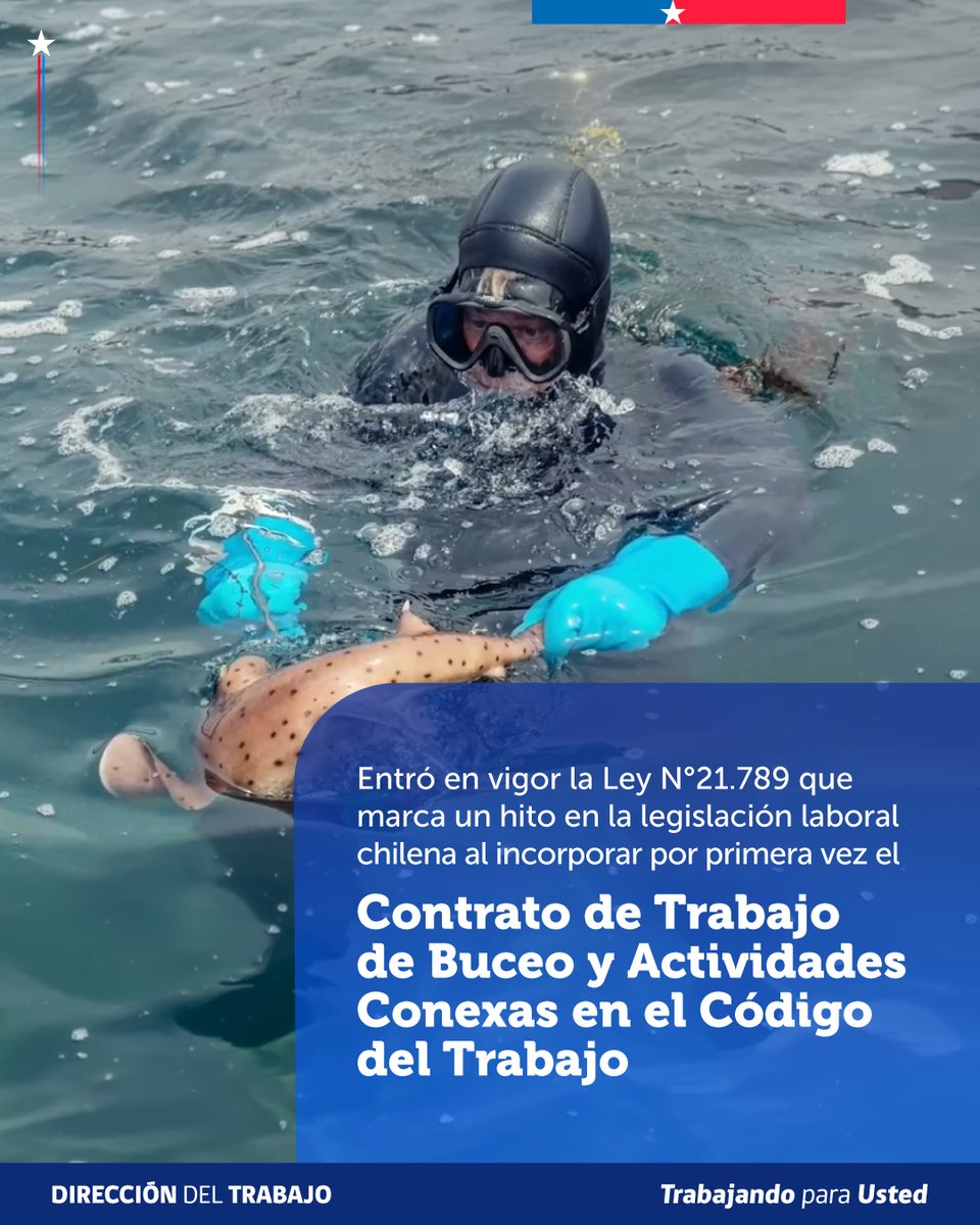 drtmagallanes's tweet photo. Entró en vigor la Ley sobre contratos de buzos y buzas.
CONTRATO ESPECIAL DE BUCEO
DOTACION DE SEGURIDAD OBLIGATORIA
SISTEMA DE REGISTRO ELECTRONICO. https://t.co/Qz7A0CxbK0