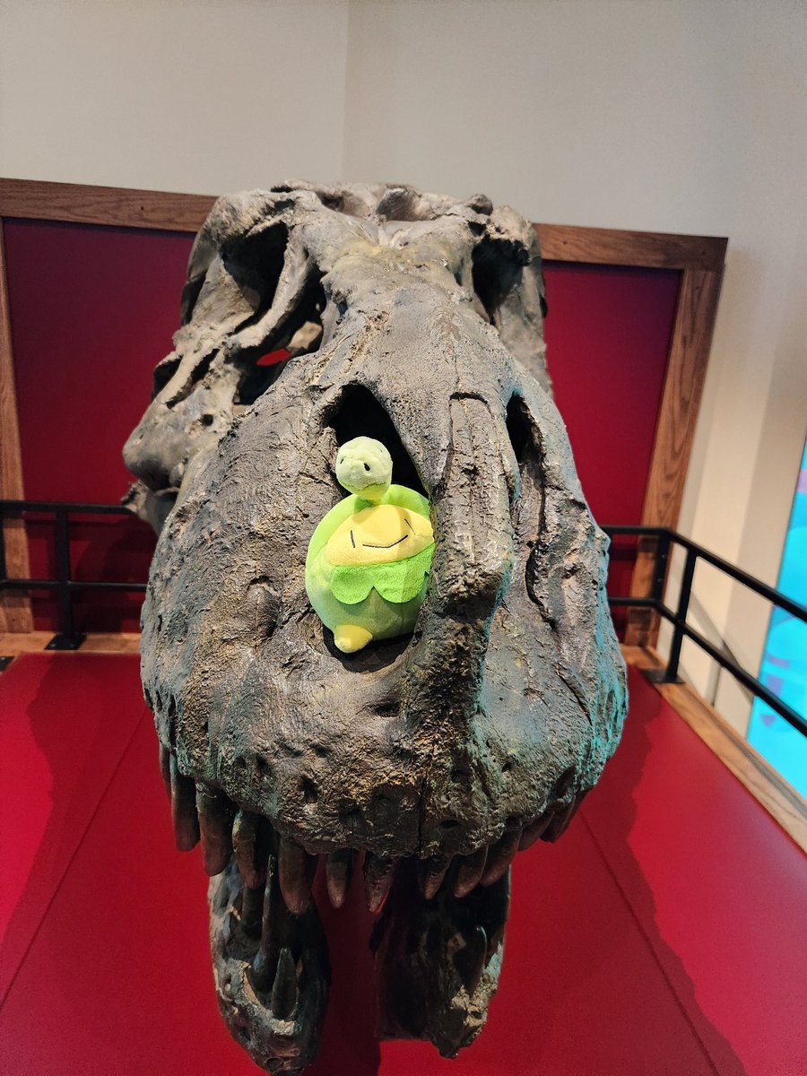 kippcott's tweet photo. My little booger went with me to the field museum.. she was too cute!! #Pokémon #Pokemonartㅤ #plush #pokeplush https://t.co/qpgpqvXzr9