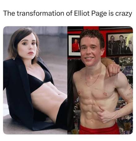 kittybunnybat's tweet photo. @HarryBaulsac @bees_cult What rack? Elliot was flat even before he transitioned…. https://t.co/Kblh63KWoG