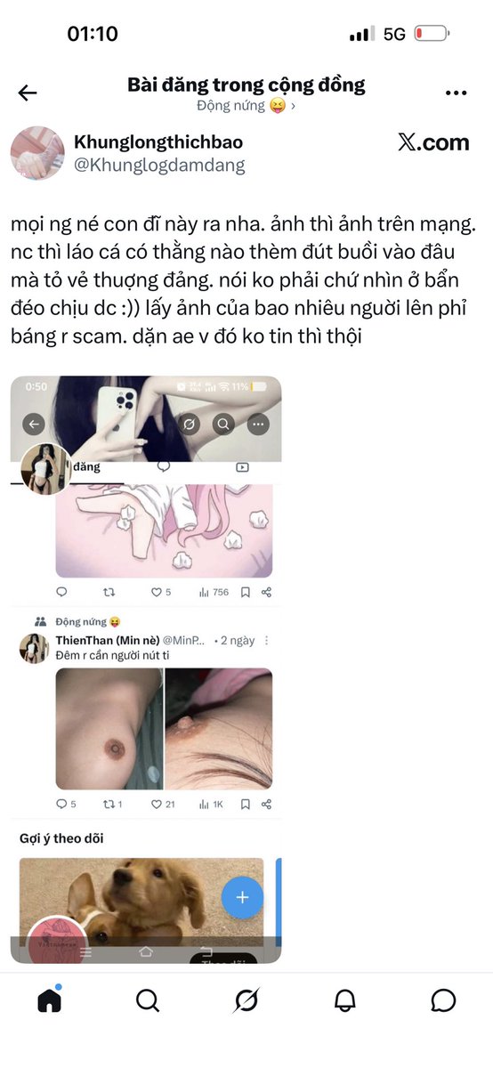 Thienthan_15's tweet photo. Con choancut này t scam ai, bị chê cac xấu xong h bêu t à, đàn ông đéo ra đàn ông nhìn dơ dáy vcl https://t.co/TixSU74083