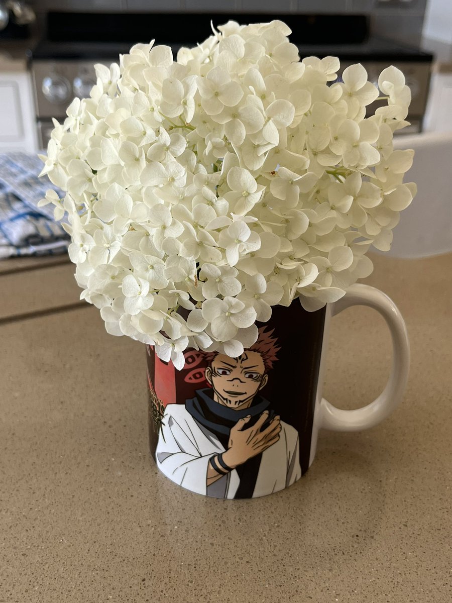 vsgigan's tweet photo. my aunt found my jjk mug and put flowers in it and she said “the characters really suit the flowers it brings out the colours, you should draw this!” like she found my secret gay pride flag and wanted to make an effort to show me she still accepts me https://t.co/aFKvvAEub6
