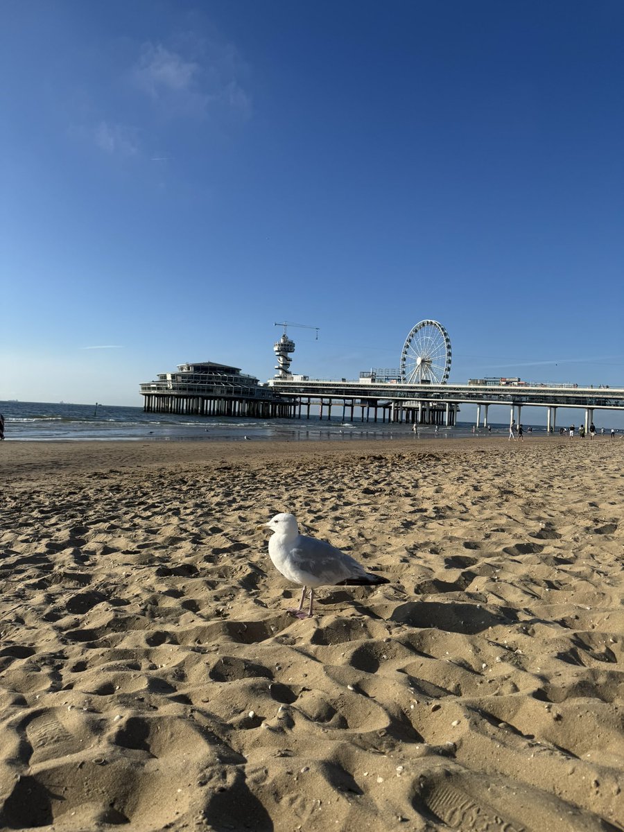 asheladz's tweet photo. just a girl on a solo trip, catching some sun in scheveningen 🌺 https://t.co/SylGCBjTDR