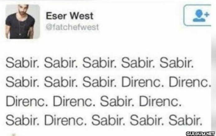 n🌷 tweet media