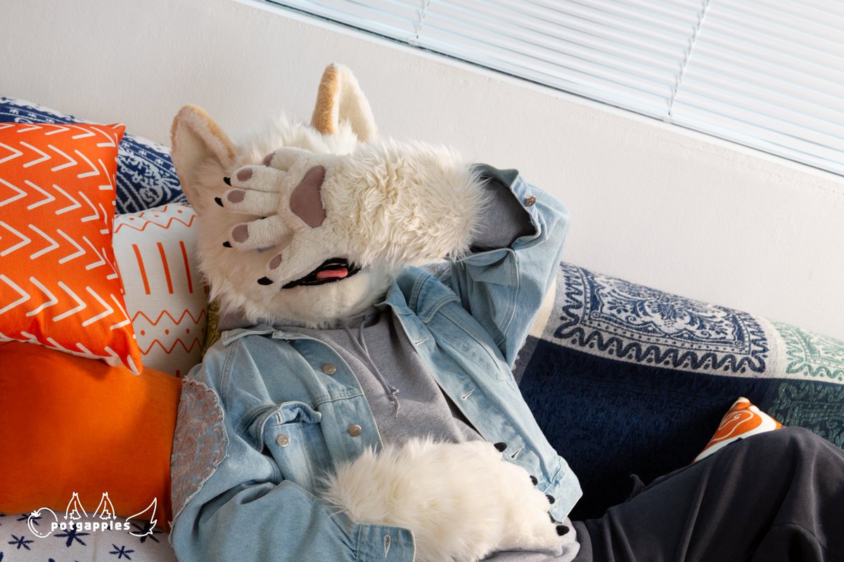 dongjee_dog's tweet photo. 우웅… 소관 5분만 더…💤
うん…小官あと5分…💤

#FursuitFriday #동젹 #ドンジヒョク
📷#potgapples https://t.co/cMqBk8AxCY