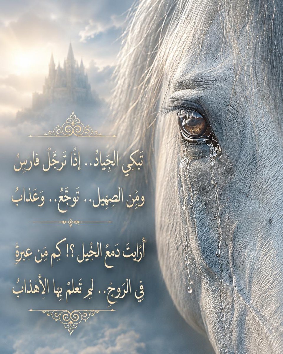 Feras77_313's tweet photo. تبكي الجيادُ.. إذا ترجَّل فارسٌ 
ومن الصهيل.. توجّعٌ.. وَعَذابُ

أرأيت دَمعَ الخيلِ؟! كم من عبرةٍ 
في الروحِ.. لم تعلم بها الأهدابُ https://t.co/GhrPL17LR8