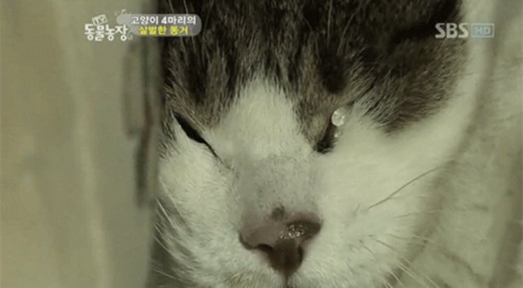 onziguin's tweet photo. 너~~~무 잘해서 눈물이 나 https://t.co/CEI362ybKM