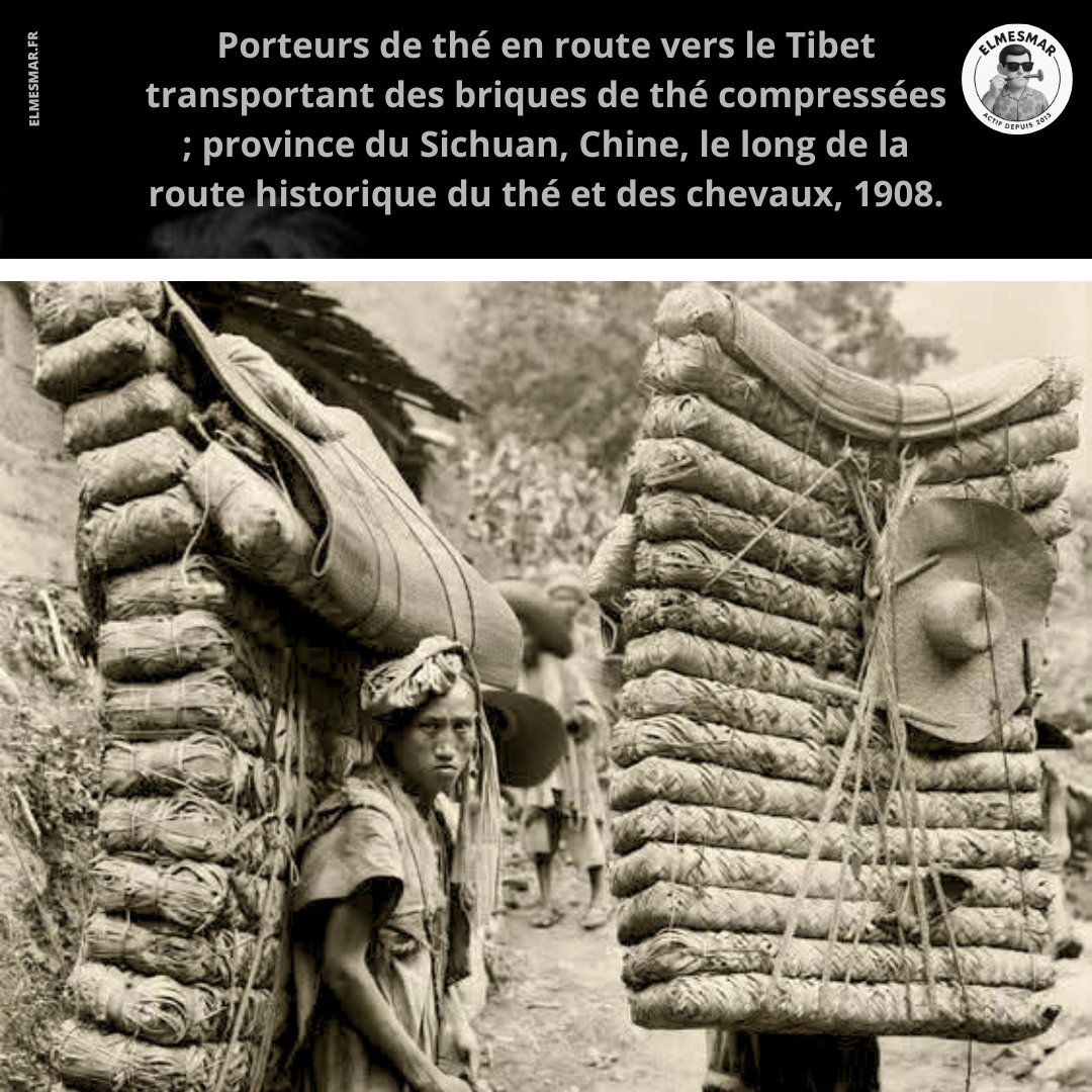 el_mesmar's tweet photo. #histoire les Porteurs de thé en route vers le #Tibet transportant des briques de thé compressées ; province du Sichuan, Chine, le long de la route historique du thé et des chevaux, 1908.
🟥https://t.co/PJIJk39Evg https://t.co/noLRIKpWzU