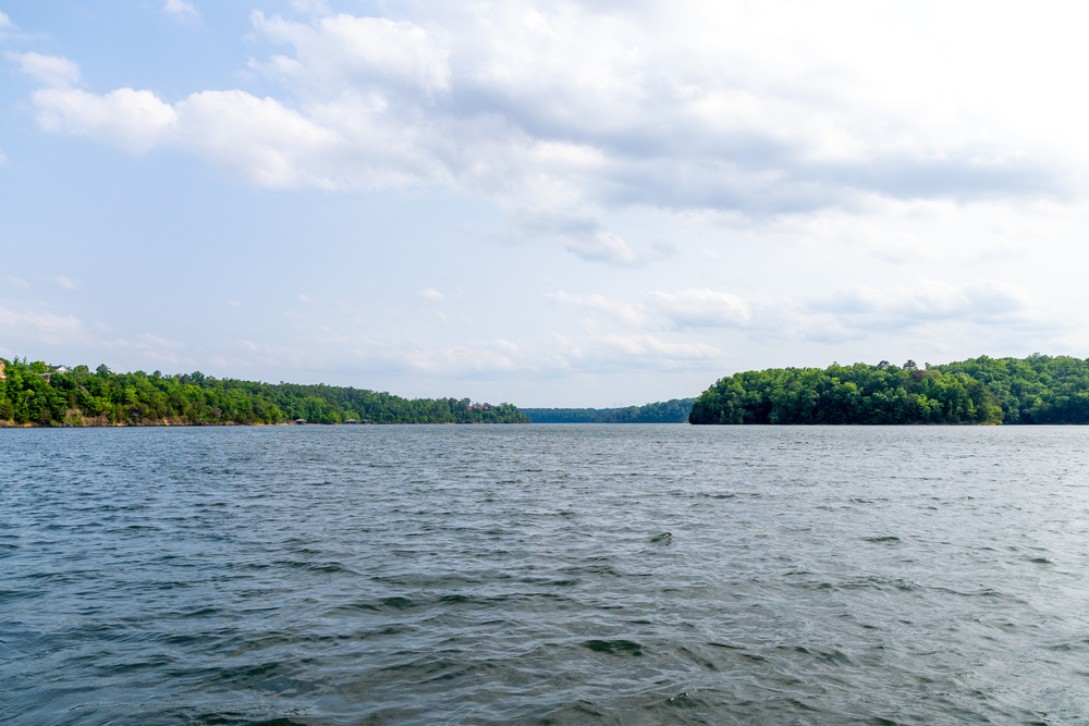 tuscaloosacity's tweet photo. This July, the City of Tuscaloosa invites you to celebrate National Lakes Appreciation Month with us! 🌊

From Lake Nicol Paddle Fest on Saturday, July 18 to a Bingo Challenge all month long, we are so excited to honor our wonderful lakes! Learn more about this month's events ➡️ https://t.co/YtSze9QXQl