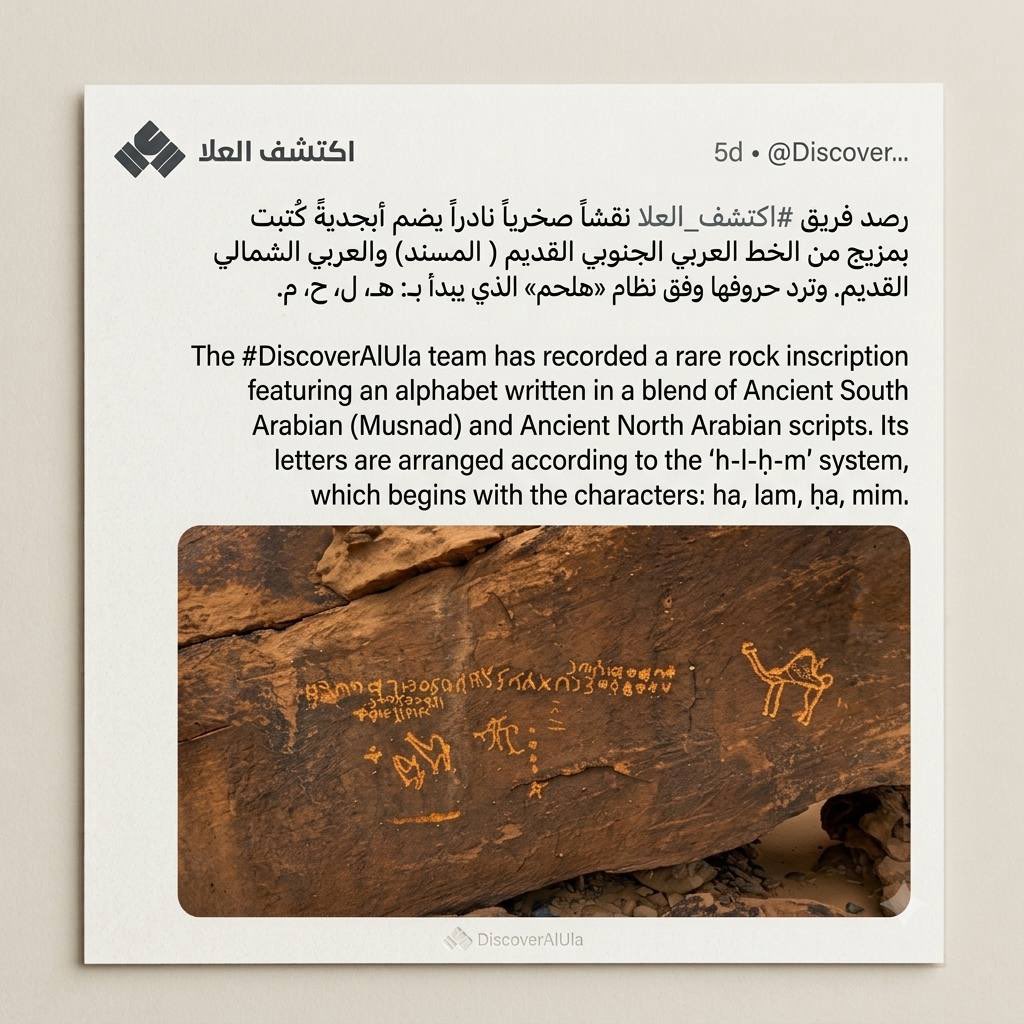 اكتشف العلا tweet media