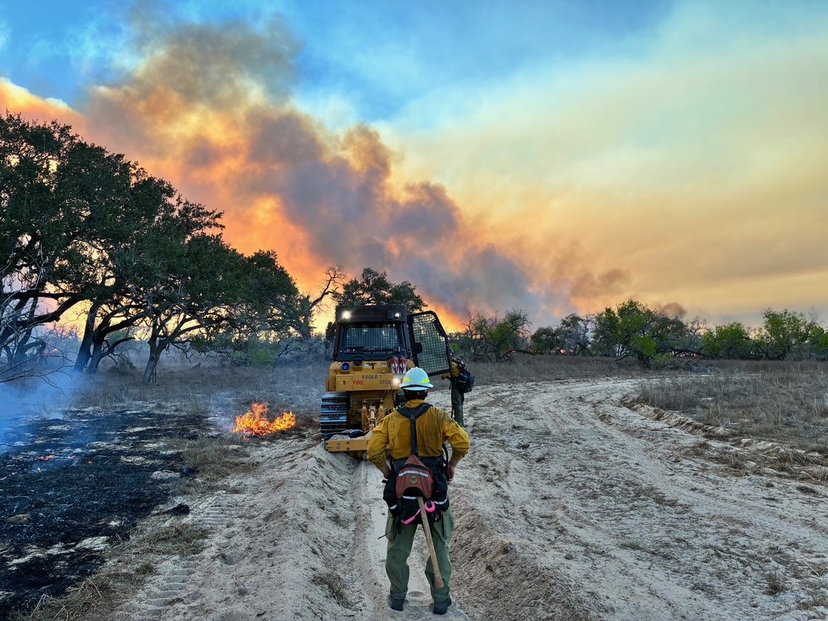 Texas A&M Forest Service tweet media
