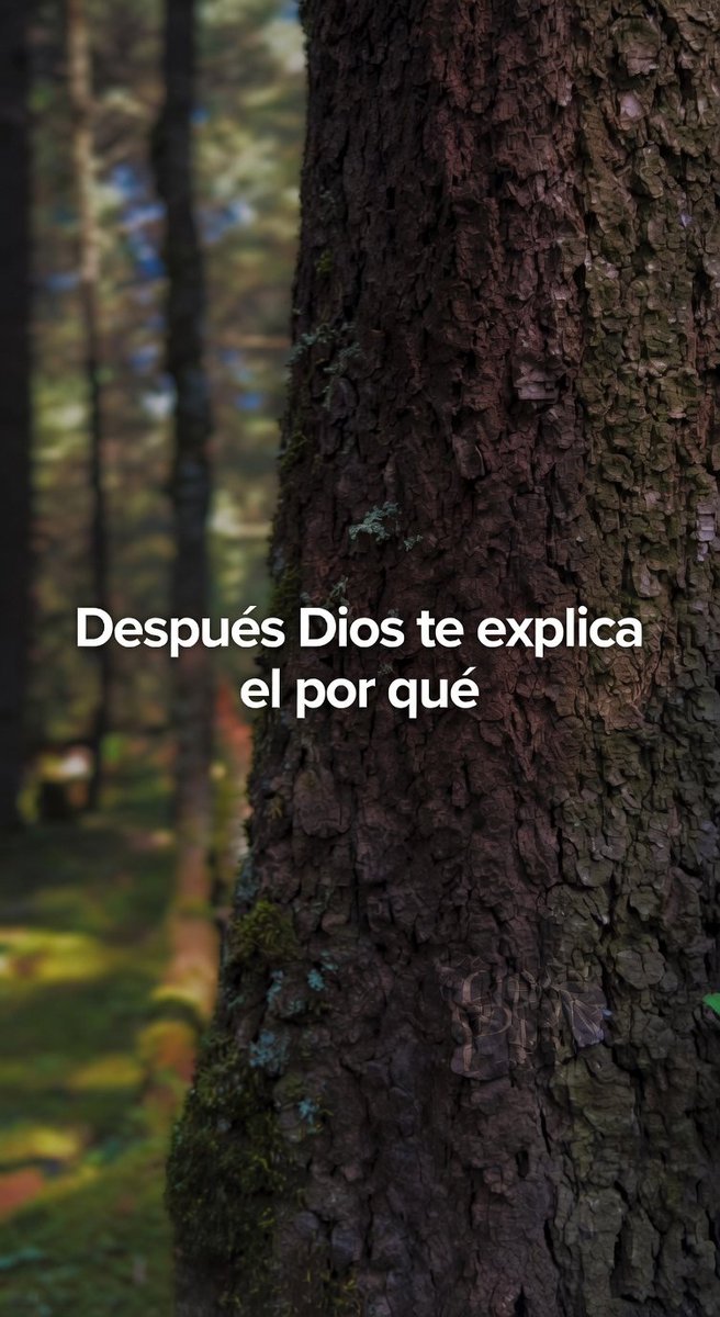 god_s_lover's tweet photo. https://t.co/3Vhs218rn5